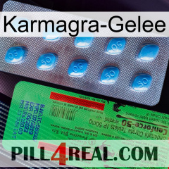 Karmagra Jelly new03
